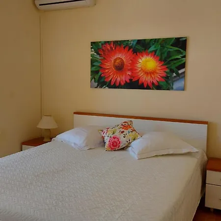 Apartment Jelica
